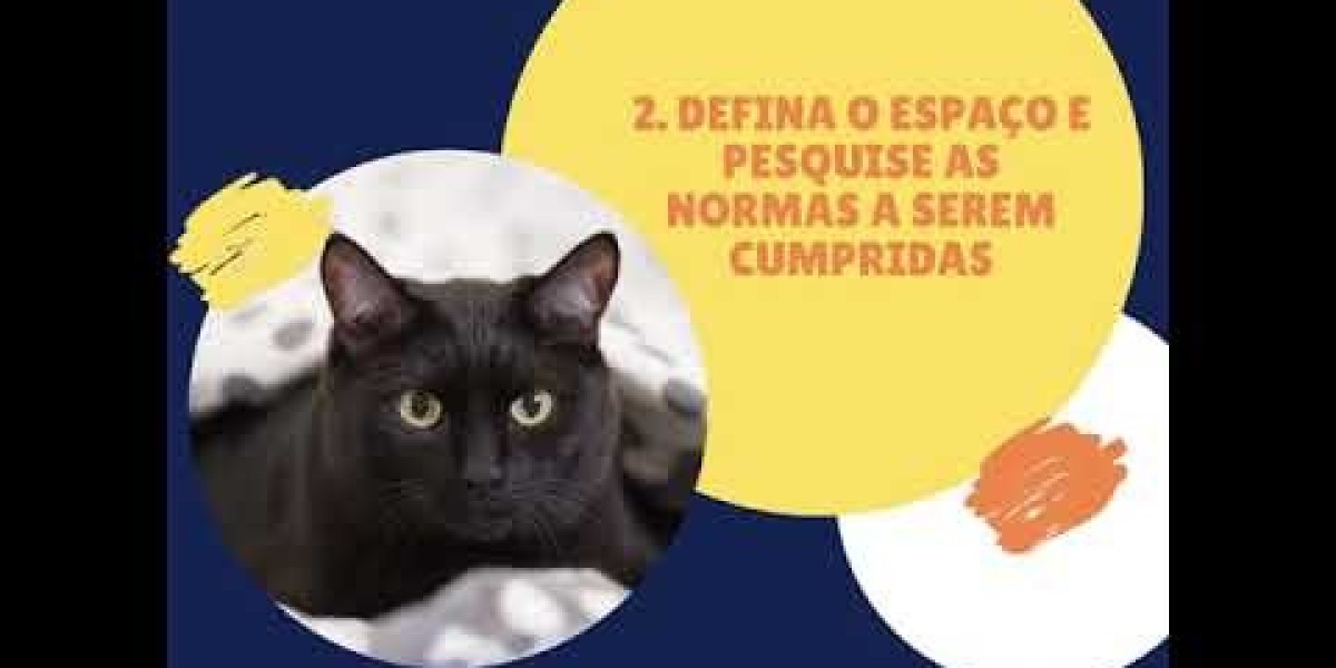 O Que Influencia o Preço do Ultrassom Veterinário? Entenda os Fatores Importantes!