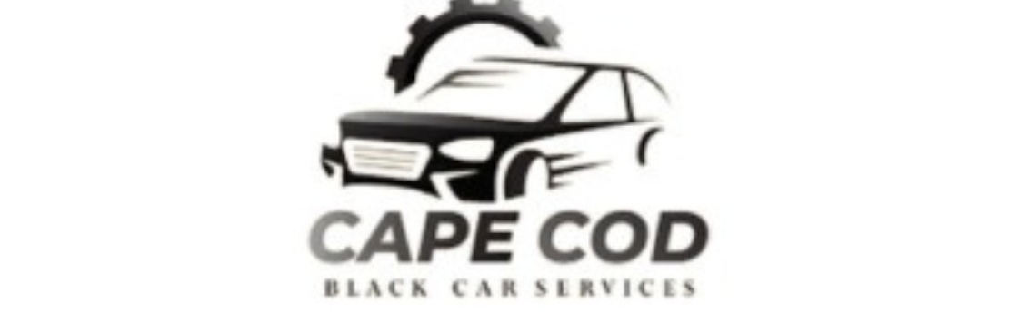 Cape Car Survices Cover Image