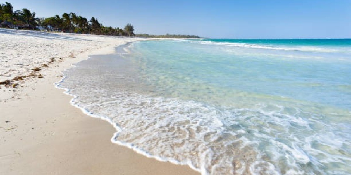 Top conservation tips for your Diani Beach safari adventure